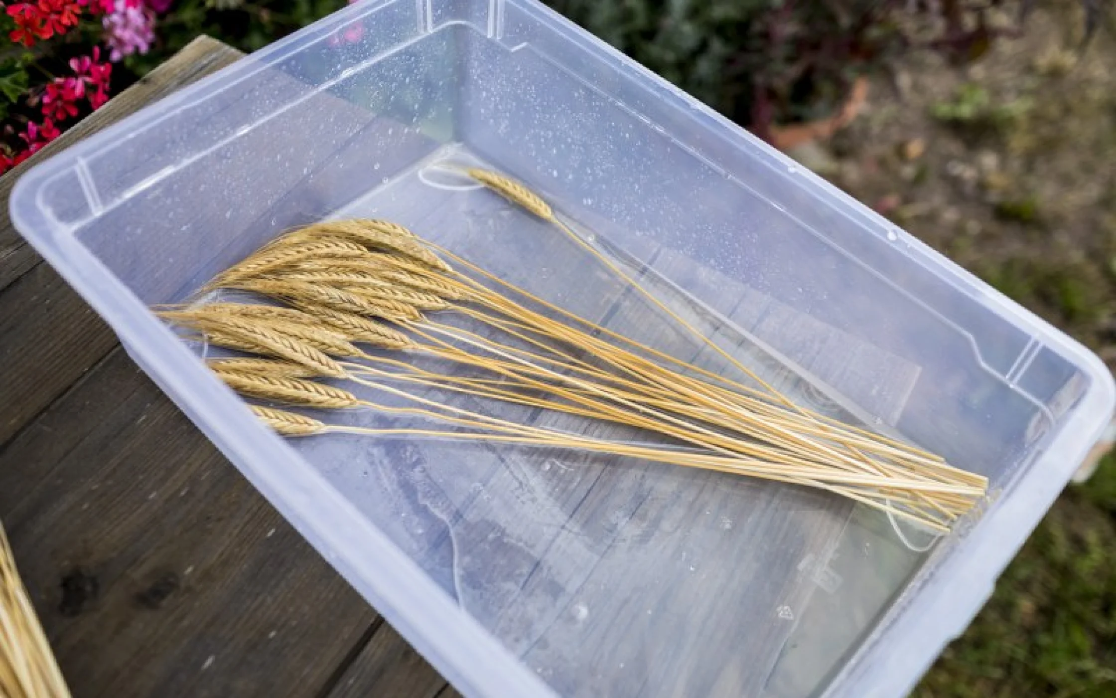 Bild 1_Freundschaftsknoten_SBO Basteln arminhuber_800x533.jpg